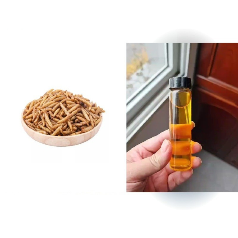 design sans titre (14) (1)