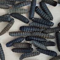 services-03 Images 4