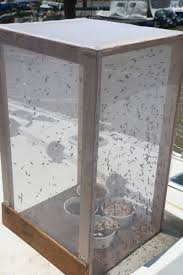 services-02 Images 5