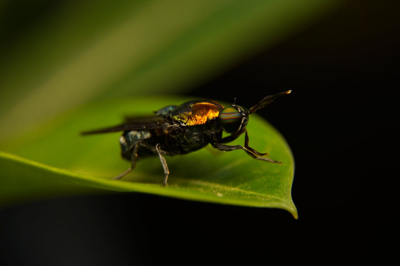 about-03 Pexels Photo 33424296